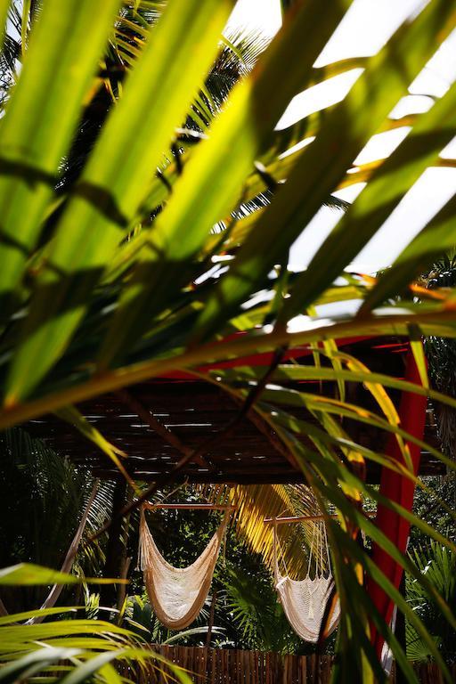 Casa Selva De Luz Lägenhet Tulum Exteriör bild