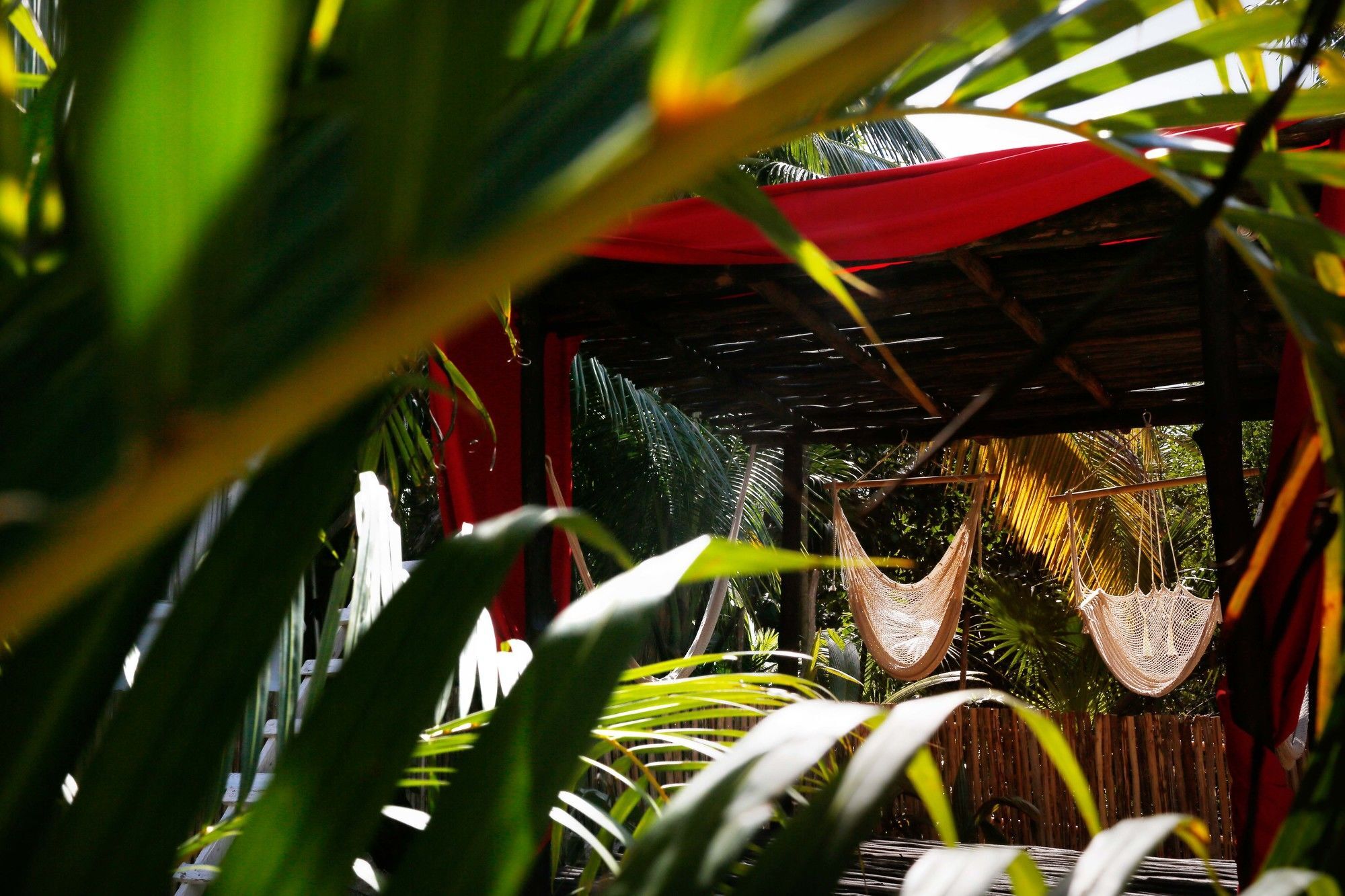 Casa Selva De Luz Lägenhet Tulum Exteriör bild