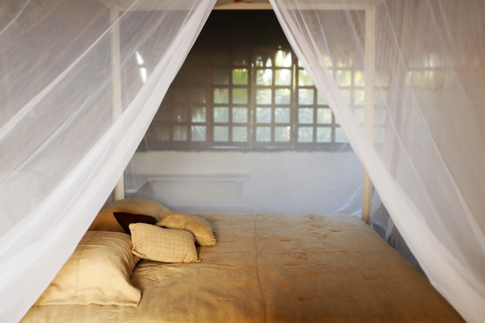 Casa Selva De Luz Lägenhet Tulum Exteriör bild